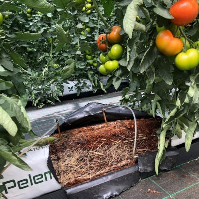 Pelemix Coir - Irribiz Australia